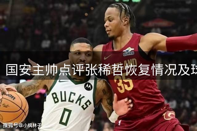 国安主帅点评张稀哲恢复情况及球员表现