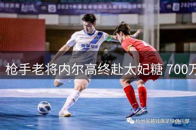 枪手老将内尔高终赴太妃糖 700万镑转会费达成协议