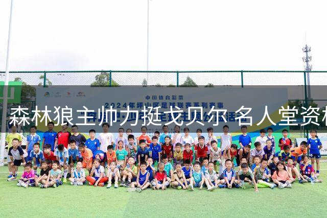 森林狼主帅力挺戈贝尔 名人堂资格毫无悬念